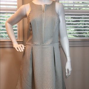 Express Dress size 6